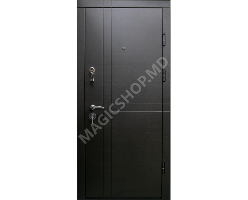 Наружная дверь DIPLOMAT 120 (2050x960mm)